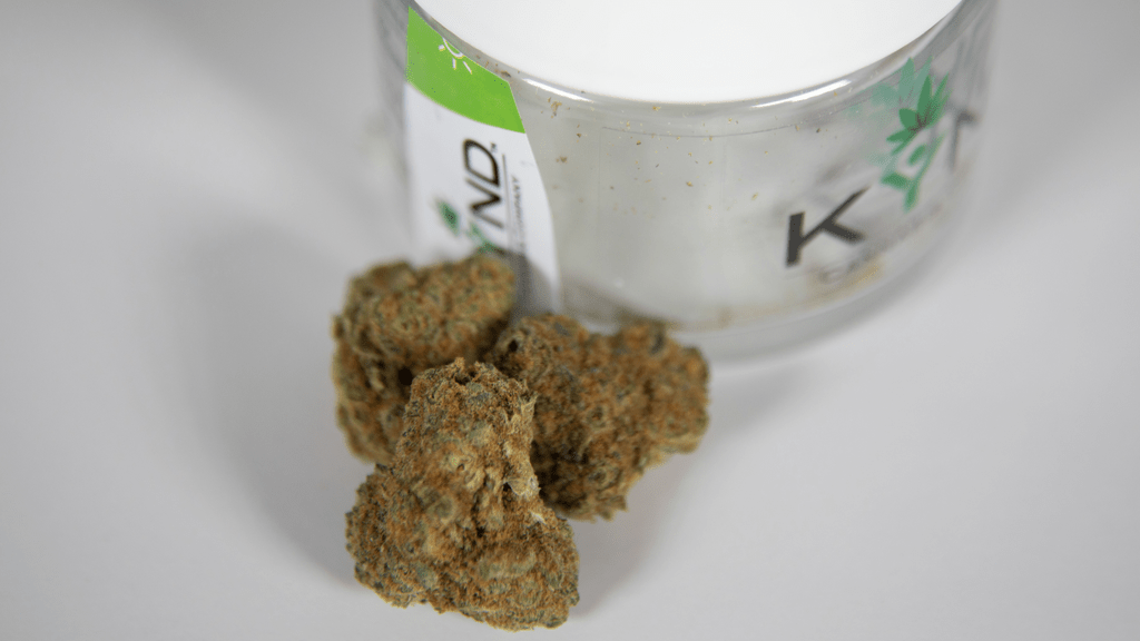 Your 2022 Guide to Cannabis Conventions in Atlantic City and New Jersey